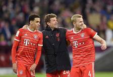 都适用的 都适用的